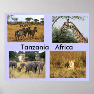 Djur av den Tanzania afrikan Poster
