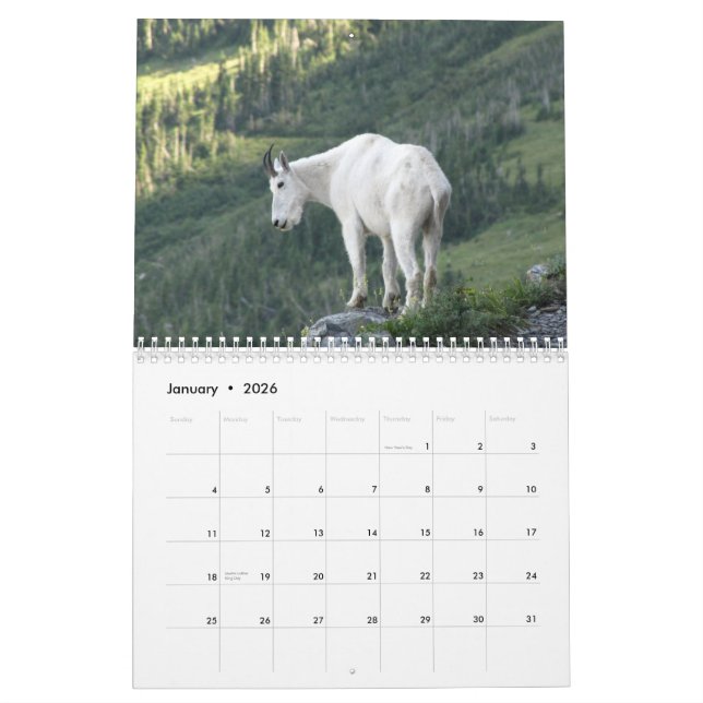 Djur av kalendern för glaciärnationalpark 2015 kalender (Jan 2026)