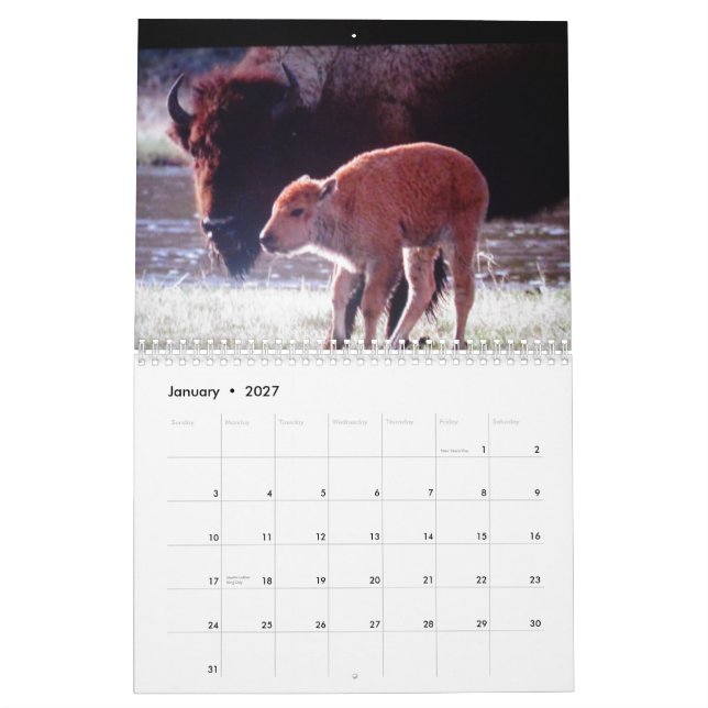 Djur av Yellowstone den anpassningsbar utskrivavna Kalender (Jan 2027)