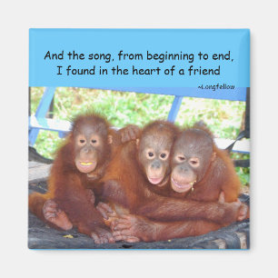 Djur behandla som ett barn vänskap 3 inte en magnet