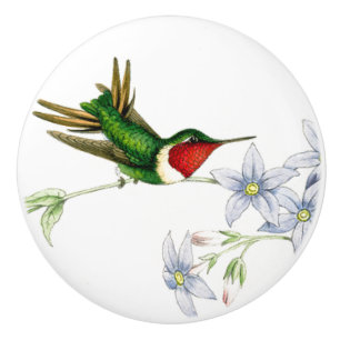 Djur blom- knopp för Hummingbirdfågeldjurliv
