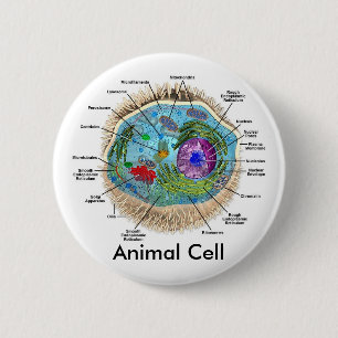 Djur cell knapp