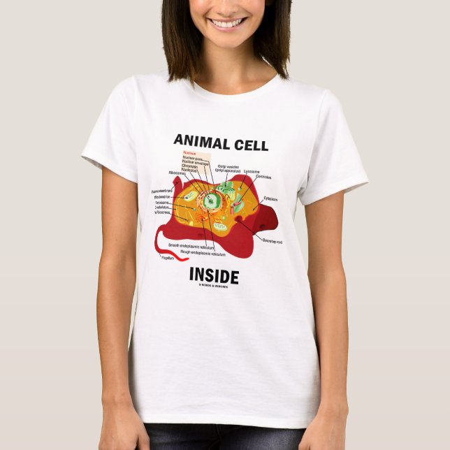 Djur cellinsida (Eukaryotecellbiologi) T-shirt (Framsida)