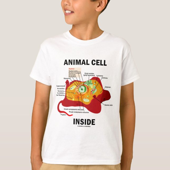Djur cellinsida (Eukaryotecellbiologi) Tee Shirt (Framsida)