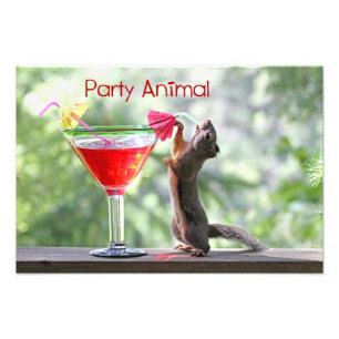 Djur ekorre för party fototryck