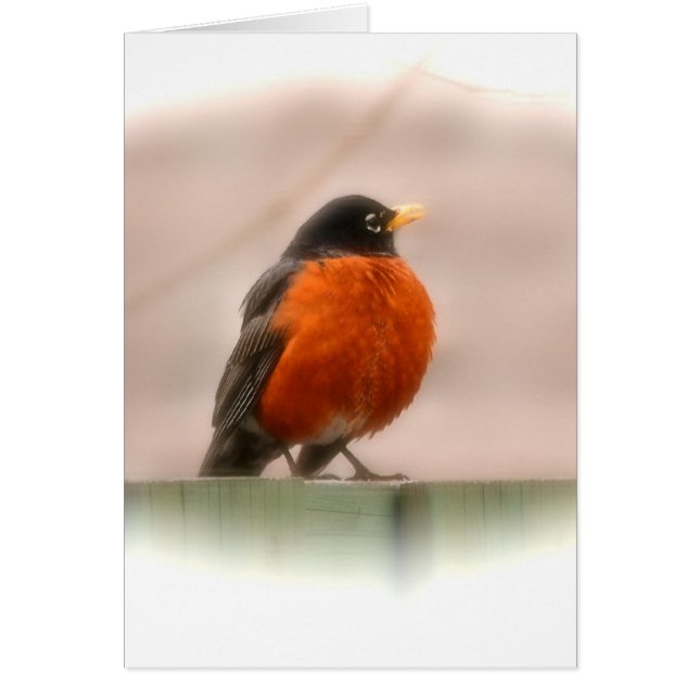 Djur fågelamerikan Robin Hälsningskort (Framsidan)