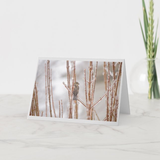Djur fågelSparrow för jul på en Iced gren Helgkort (Framsida)