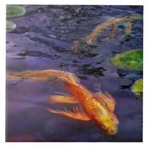 Djur - Fisk - Det är något med koi Kakelplatta