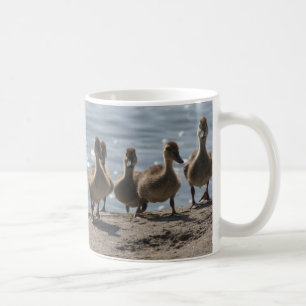 Djur för djurliv för anka för Ducklingfågelbab Kaffemugg