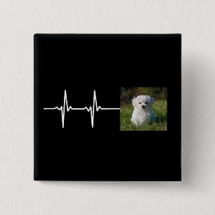 Djur Foto Heartbeat / Lägg Till Ditt Husdjur Foto Knapp