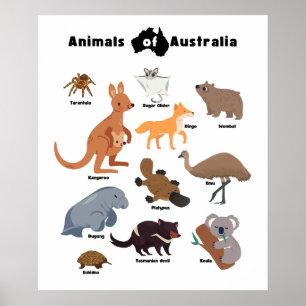 Djur från Australien Aussie Wildlife Poster