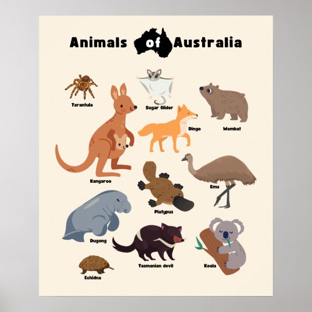Djur från Australien Aussie Wildlife Poster (Framsidan)