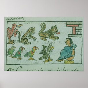 Djur från Aztec-kejsaren Poster