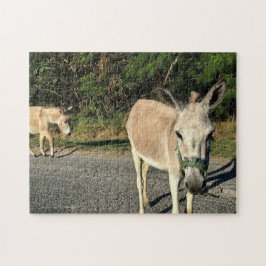 Djur från brundjur som går pussel