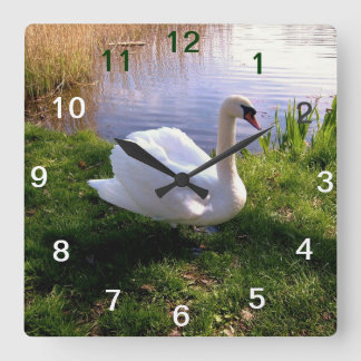 Djur Fyrkantig Klocka