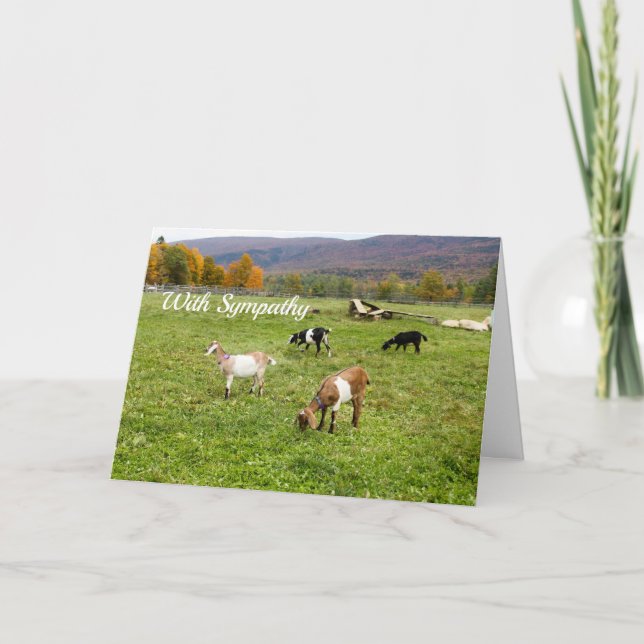 Djur - getter - Betesmark Vermont Fotosympati Kort (Framsida)