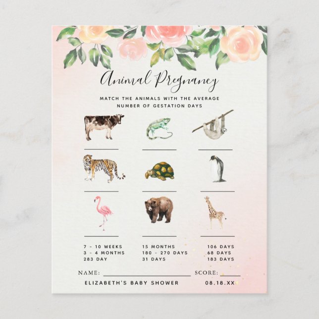 Djur Graviditet | Baby Shower Lek (Framsida)