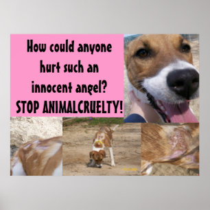 Djur grymhetaffisch poster