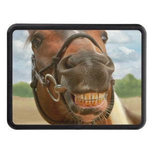 Djur - häst - I fick slutligen av min stag Skydd För Dragkrok