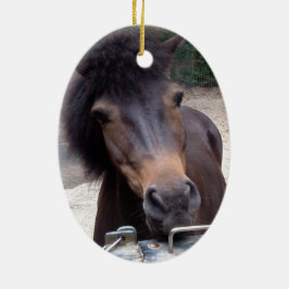 Djur, häst, Pony Julgransprydnad Keramik