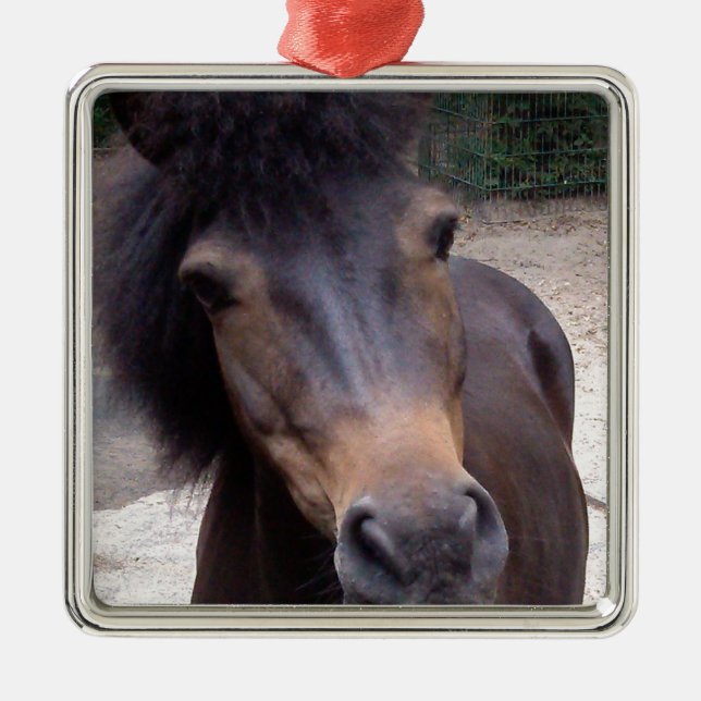 Djur, häst, Pony Julgransprydnad Metall (Framsidan)