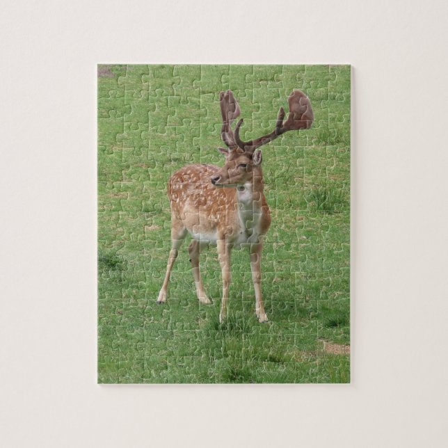 djur, hjort, vilt, skog, ängsmark, jakt, pussel (Vertikal)