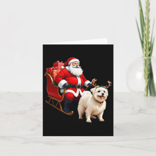 Djur Hund Älskare Tomte Släd Malteser Ren Jul Kort