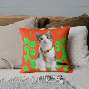 Djur Husdjur Katt Foto Lime Mönster Orange Anpassa Kudde