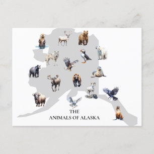Djur i Alaska Nordamerika Vykort