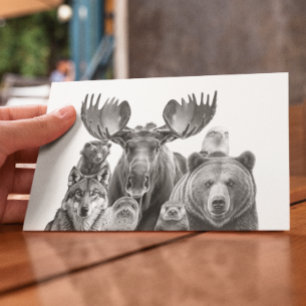 Djur i Alaska Porträtt Bear Moose Varg Vykort