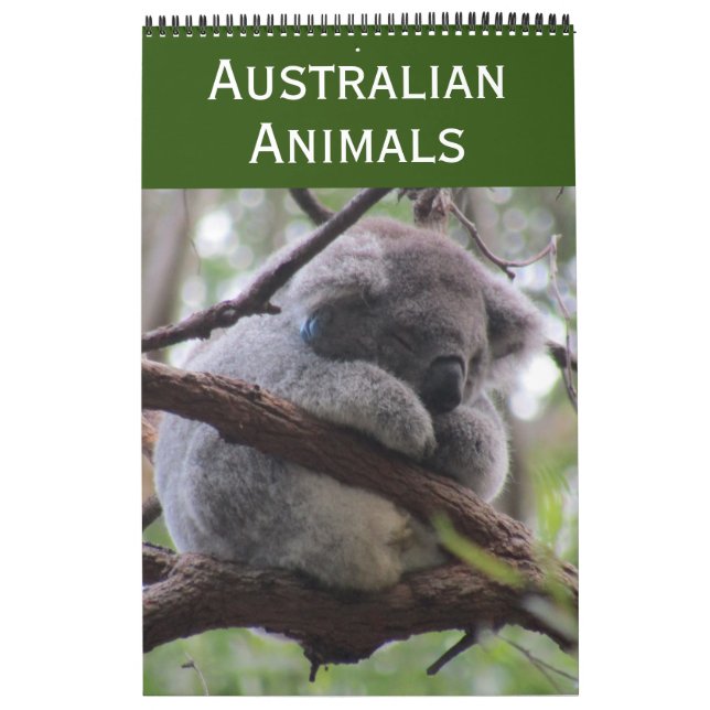 djur i australien 2027 kalender (Omslag)