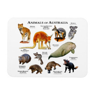 Djur i Australien Magnet