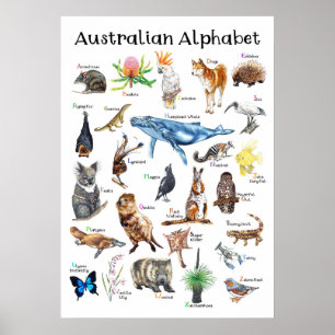 Djur i Australien Poster