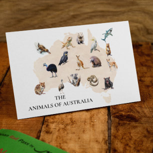 Djur i Australien Vykort