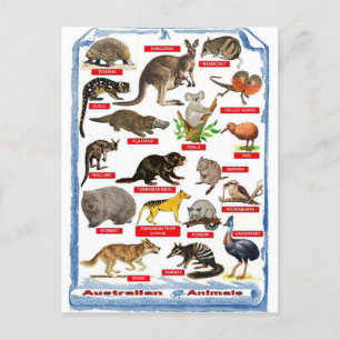Djur i Australien - vykort