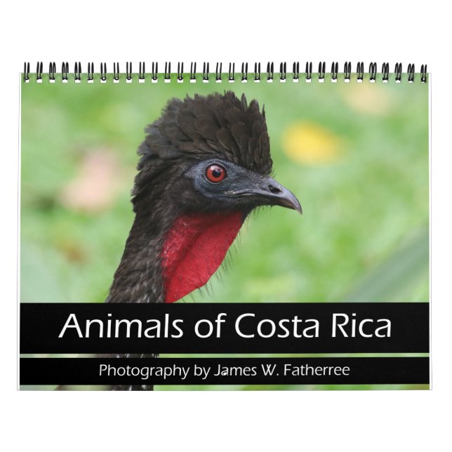 Djur i Costa Ricas kalender (Omslag)