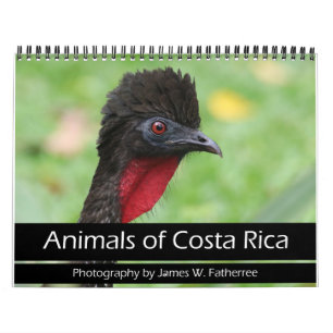 Djur i Costa Ricas kalender