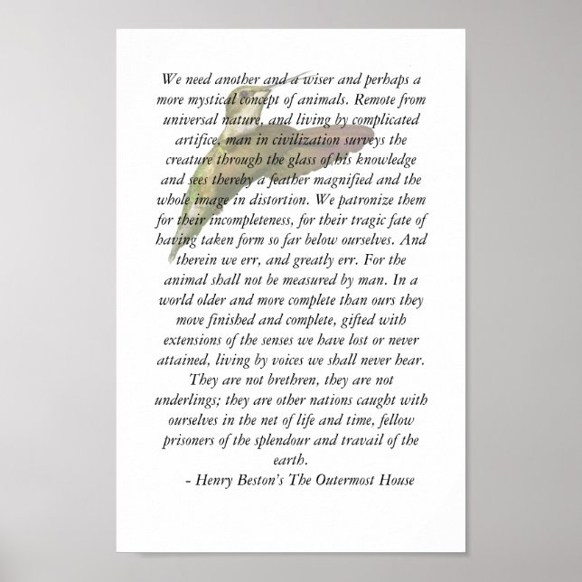 Djur i det yttersta huset poster (Framsidan)