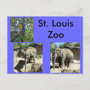 Djur i djurparken vykort