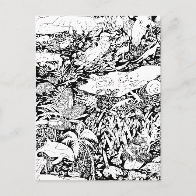 Djur i fred vykort (Framsida)