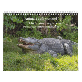 Djur i Gatorland 2026 Kalender