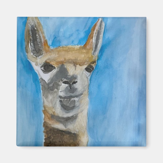 Djur i magnet (Framsidan)