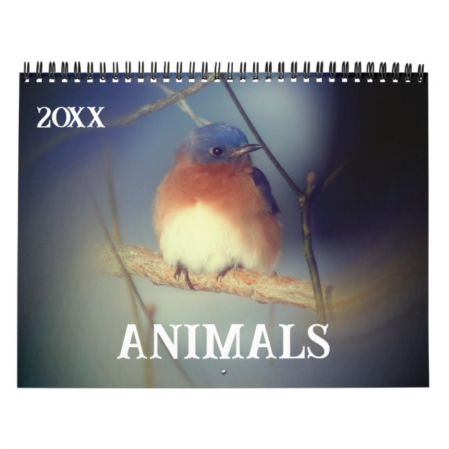 Djur Kalender (Omslag)
