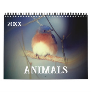 Djur Kalender