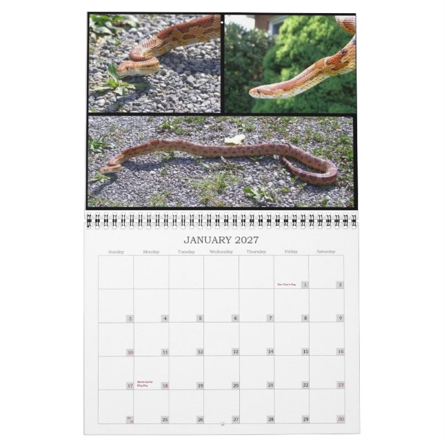 Djur kalender (Jan 2027)
