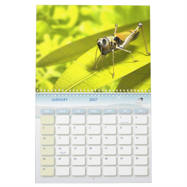 Djur kalender 8 (Jan 2027)