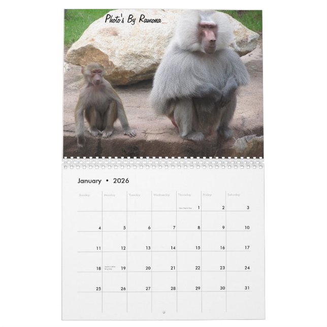 Djur kalender för vild vid Ramona Taylor (Jan 2026)