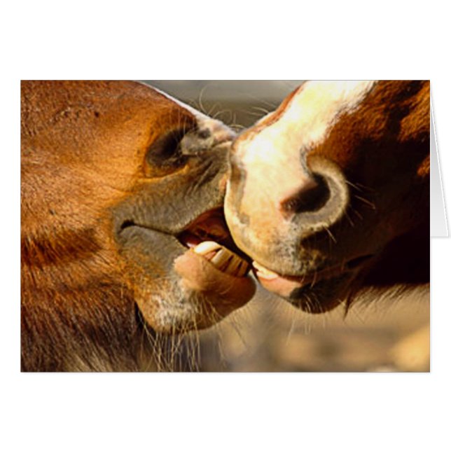 Djur kärlek hälsningskort (Framsidan Horizontal)