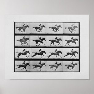 Djur Locomotion - 16 ramar av RacehorseAnnie G Poster