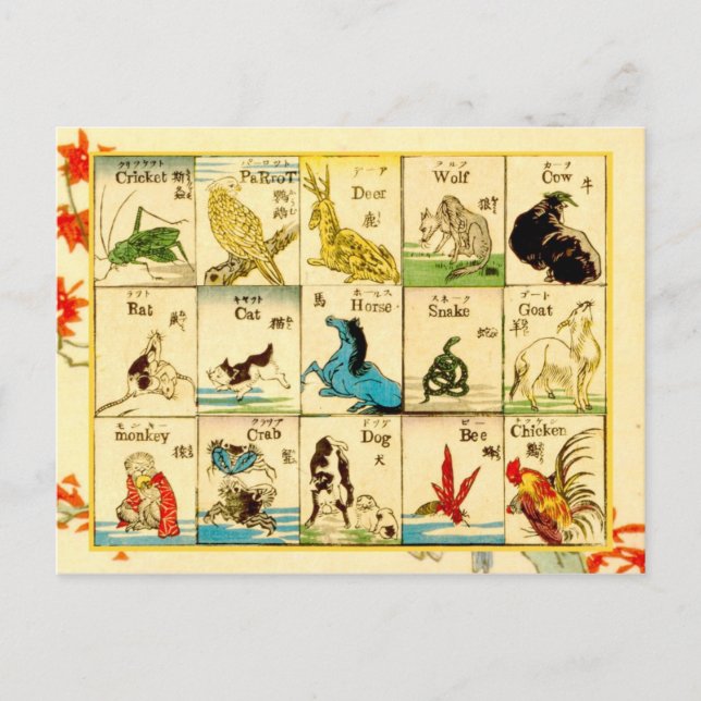 Djur märkta på japanska och engelska vykort (Framsida)